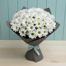 Букет цветов из:  Хризантемы в Кубе