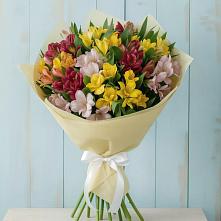Букет цветов из:  Альстромерии в Кубе