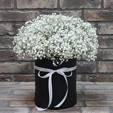 Цветочная композиция из Гипсофила в шляпной коробке в Кубе