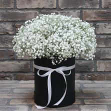 Цветочная композиция из Гипсофила в шляпной коробке в Кубе